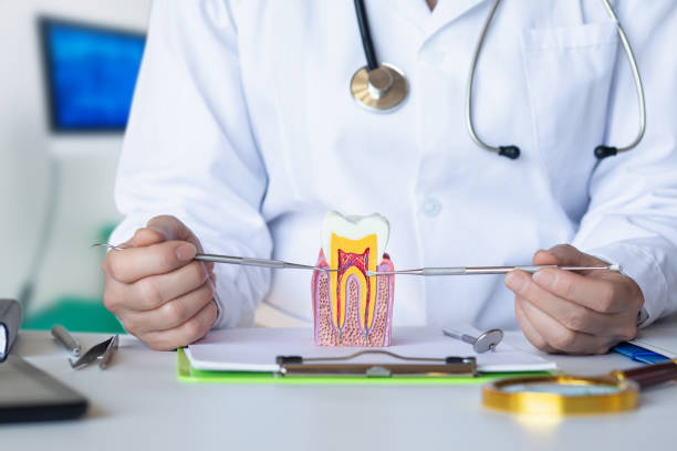 Best Knocked-Out Tooth (Avulsed Tooth) Treatment in Augusta, KS